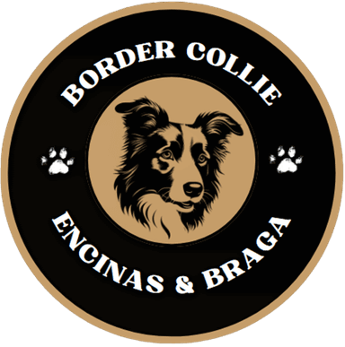 Logo do site